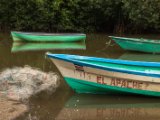 IMG 8158 : 2017, Costa Rica, Mangroven