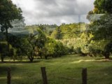 IMG 8163 : 2017, Costa Rica