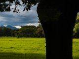 IMG 8166 : 2017, Costa Rica
