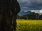 IMG 8170 : 2017, Costa Rica