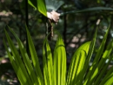 IMG 8433 : 2017, Costa Rica