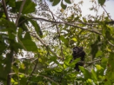 IMG 8502 : 2017, Costa Rica