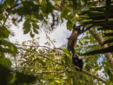 IMG 8504 : 2017, Costa Rica