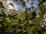 IMG 8507 : 2017, Costa Rica