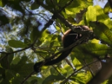 IMG 8527 : 2017, Costa Rica