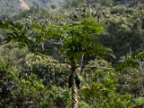 IMG 8561 : 2017, Costa Rica