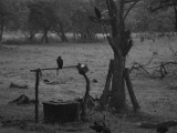 IMG 8675 : 2017, Costa Rica
