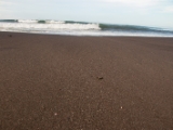 IMG 8684 : 2017, Costa Rica
