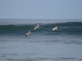 IMG 8715 : 2017, Costa Rica