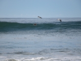 IMG 8716 : 2017, Costa Rica