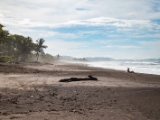 IMG 8811 : 2017, Costa Rica
