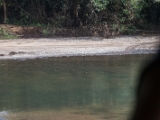 IMG 8864 : 2017, Costa Rica