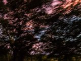 IMG 9062 : 2017, Costa Rica, Sky