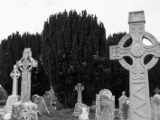 IMG 4994 : 2016, County Meath, Ireland, Trim