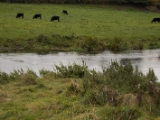 IMG 5016 : 2016, County Meath, Ireland, Trim