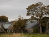 IMG 5043 : 2016, County Meath, Ireland, Trim