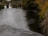 IMG 5048 : 2016, County Meath, Ireland, Trim