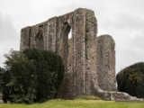 IMG 5153 : 2016, County Meath, Ireland, Trim