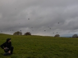 IMG 5169 : 2016, County Meath, Ireland