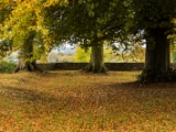 IMG 5174 : 2016, County Meath, Ireland