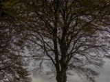 IMG 5177 : 2016, County Meath, Ireland