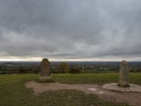 IMG 5182 : 2016, County Meath, Ireland