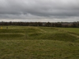 IMG 5188 : 2016, County Meath, Ireland