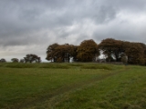 IMG 5191 : 2016, County Meath, Ireland