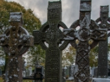 IMG 5202 : 2016, County Meath, Ireland