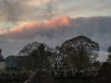 IMG 5216 : 2016, County Meath, Ireland