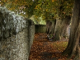 IMG 5227 : 2016, County Meath, Ireland