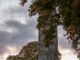 IMG 5232 : 2016, County Meath, Ireland