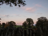 IMG 5233 : 2016, County Meath, Ireland