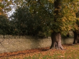 IMG 5242 : 2016, County Meath, Ireland