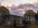 IMG 5247 : 2016, County Meath, Ireland