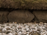 IMG 5259 : 2016, Brú na Bóinne, Ireland