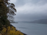 IMG 5359 : 2016, Carlingford, Ireland