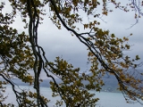 IMG 5367 : 2016, Carlingford, Ireland