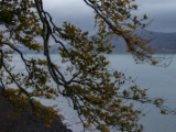 IMG 5368 : 2016, Carlingford, Ireland
