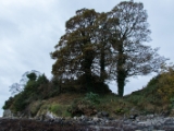 IMG 5372 : 2016, Carlingford, Ireland