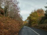 IMG 5373 : 2016, Ireland