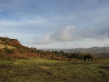 IMG 5377 : 2016, County Armagh, Flagstaff Viewpoint, Northern Ireland