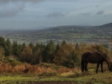 IMG 5379 : 2016, County Armagh, Flagstaff Viewpoint, Northern Ireland
