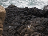IMG 5567 : 2016, Ireland