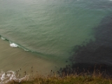 IMG 5631 : 2016, Carrick-a-Rede Rope Bridge