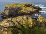 IMG 5639 : 2016, Carrick-a-Rede Rope Bridge