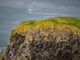 IMG 5644 : 2016, Carrick-a-Rede Rope Bridge