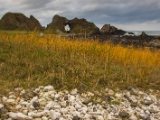 IMG 5736 : 2016, Ballintoy HarbourTrail to Whitepark Bay, Northern Ireland