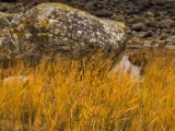 IMG 5739 : 2016, Ballintoy HarbourTrail to Whitepark Bay, Northern Ireland