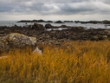 IMG 5740 : 2016, Ballintoy HarbourTrail to Whitepark Bay, Northern Ireland